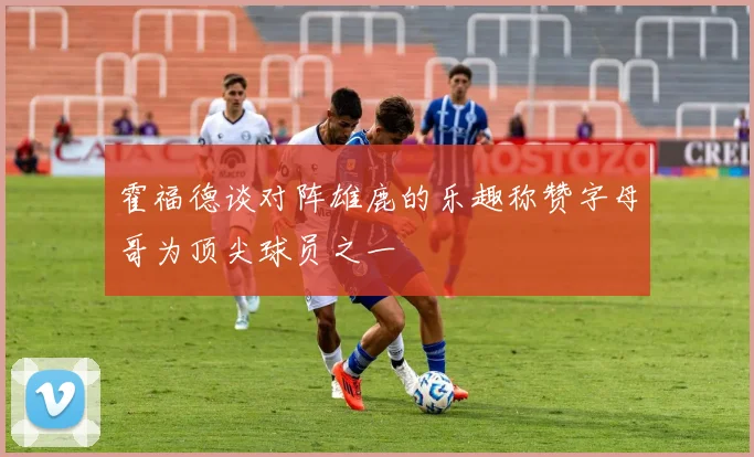 霍福德谈对阵雄鹿的乐趣称赞字母哥为顶尖球员之一