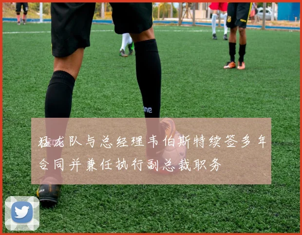 猛龙队与总经理韦伯斯特续签多年合同并兼任执行副总裁职务