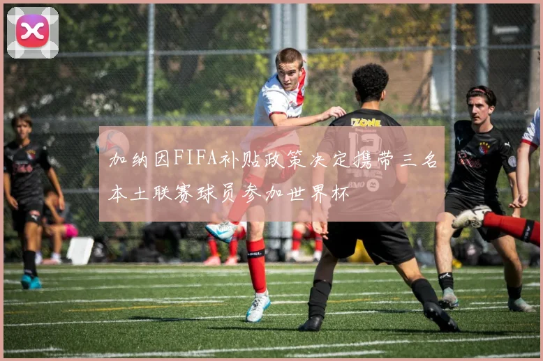 加纳因FIFA补贴政策决定携带三名本土联赛球员参加世界杯